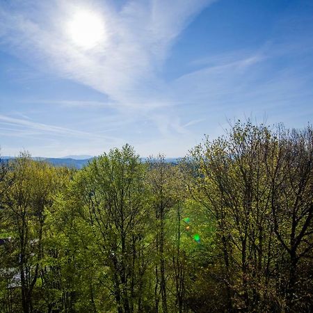 Ferienwohnung Kathi Freyung Bagian luar foto